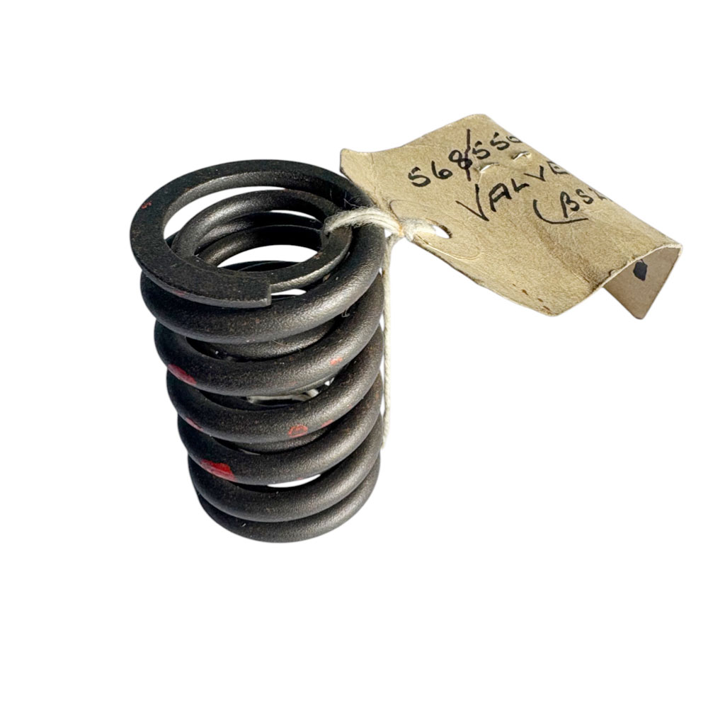 Double Valve Spring 568550
